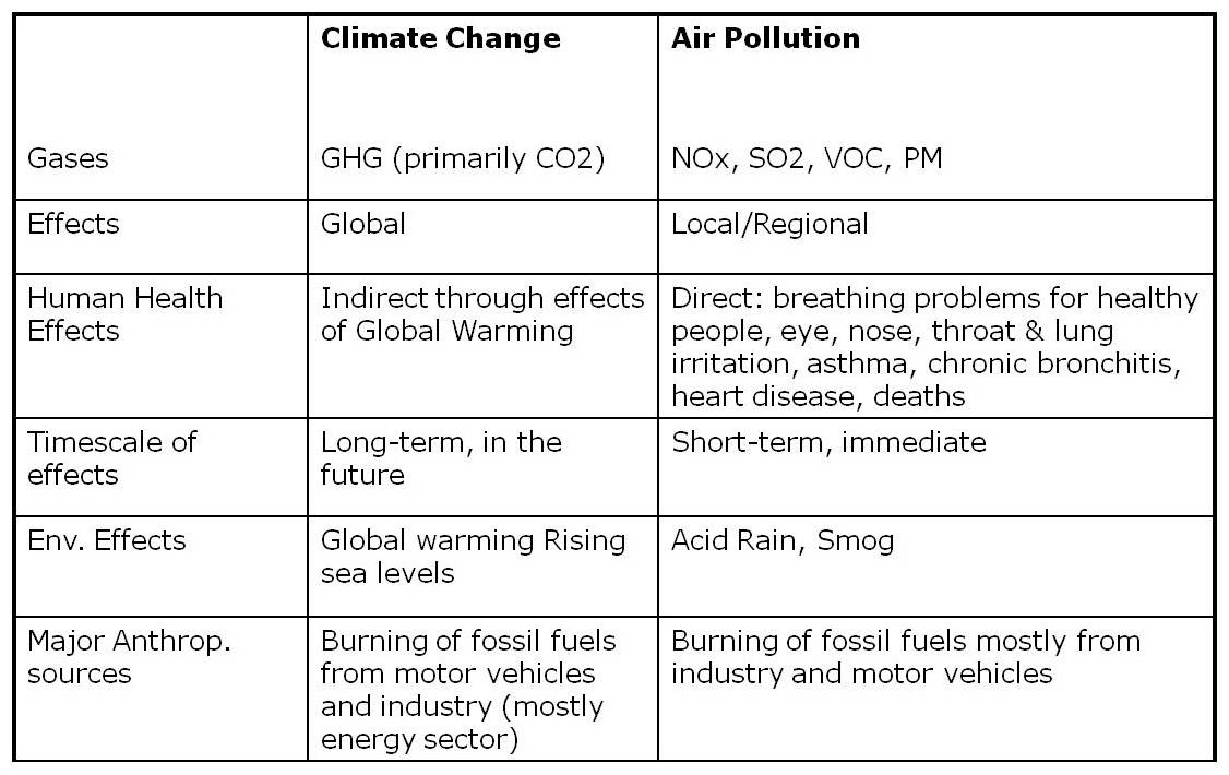 Causes And Effects Of Pollution Essay
